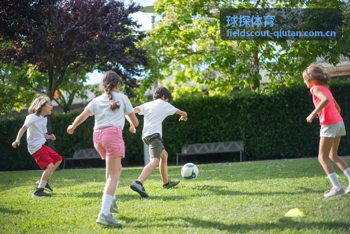 球探体育青训选材现场观察